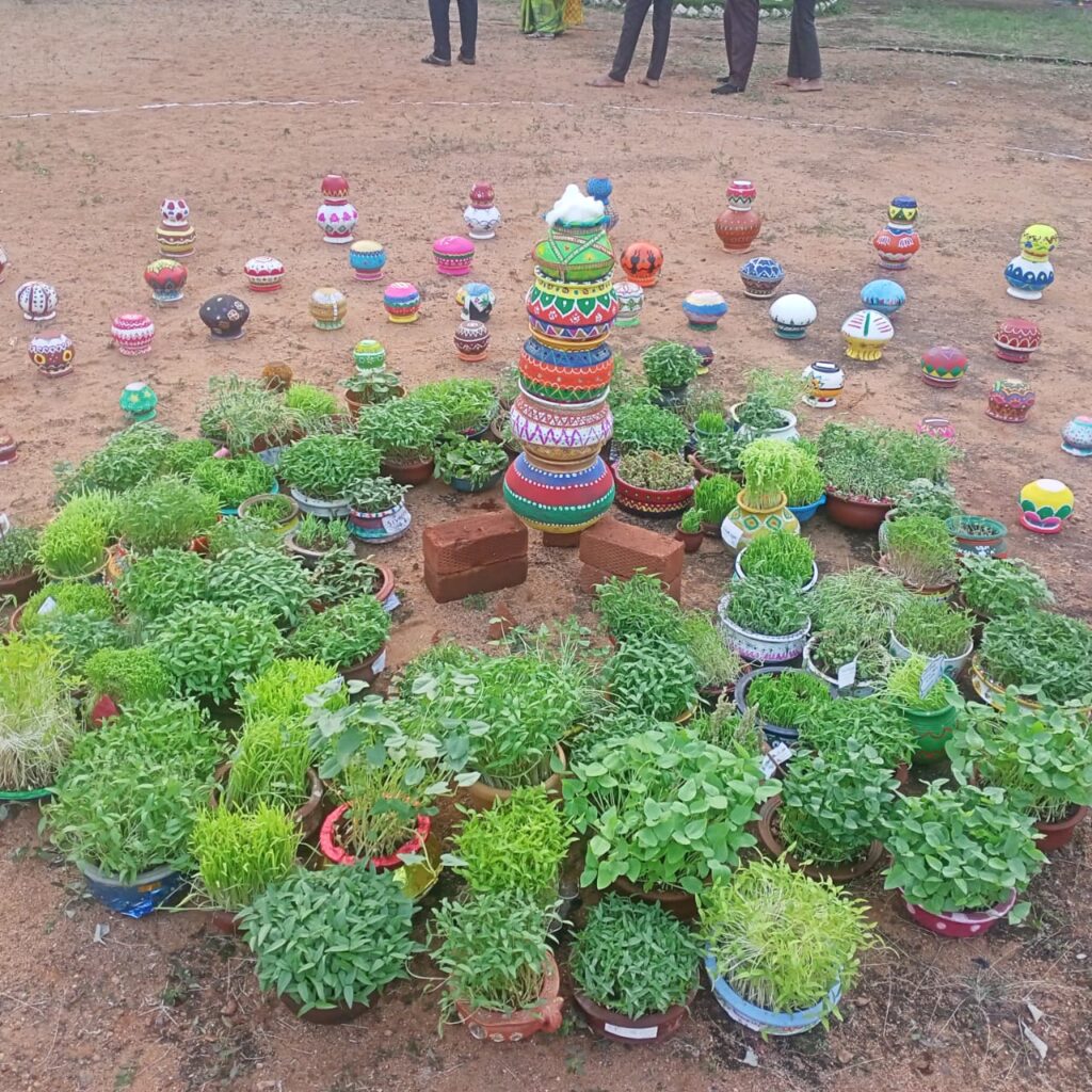 Read more about the article Pongal celebration-2024